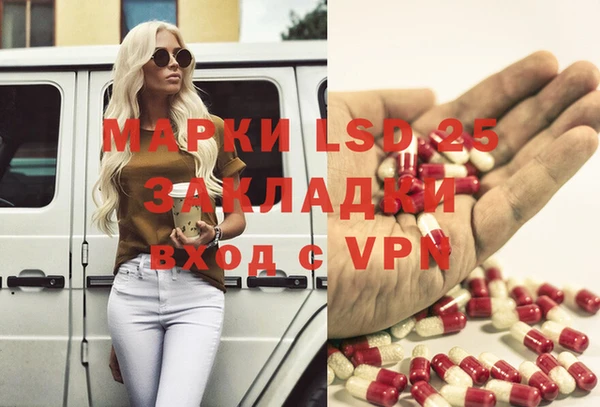мяу мяу мука Михайловск